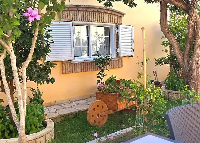 Kormos 4*